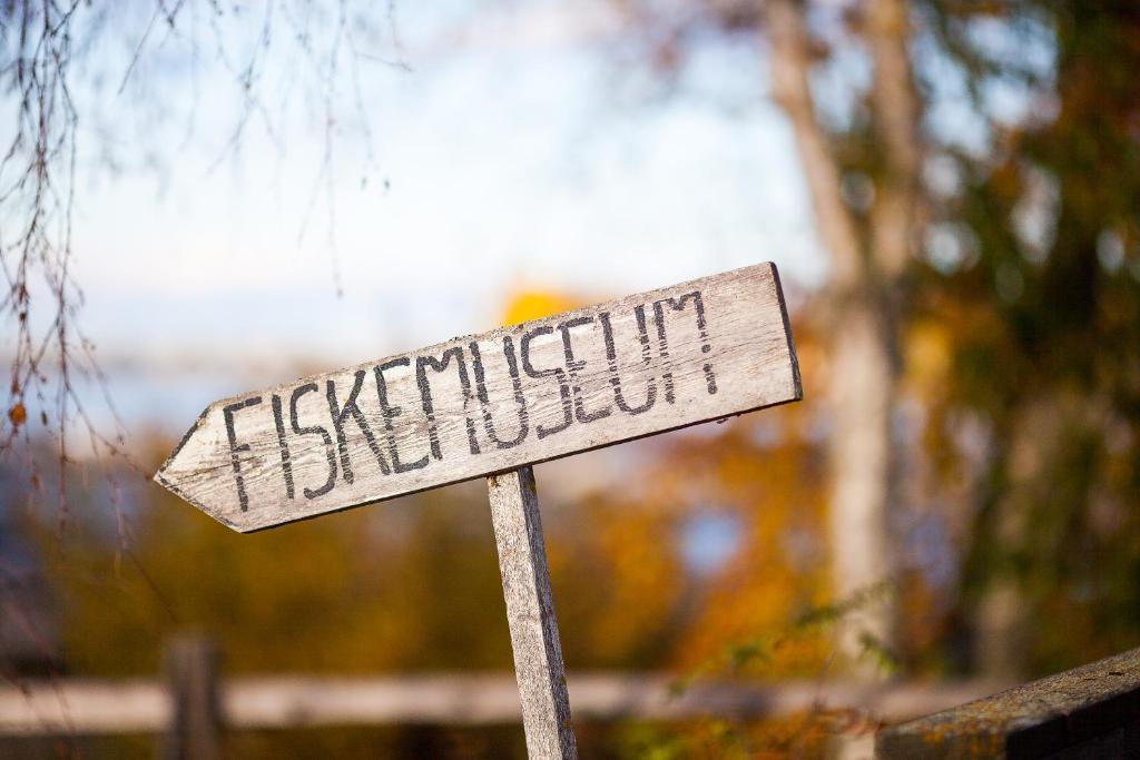 Kukkolaforsen Turist & Konferens Hotell Rum bild